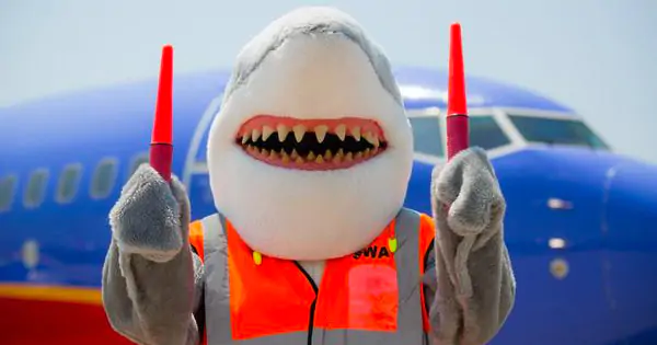 Discovery Channel’s Shark Week Takes a Marketing Bite, View TV - Streaming Experts
